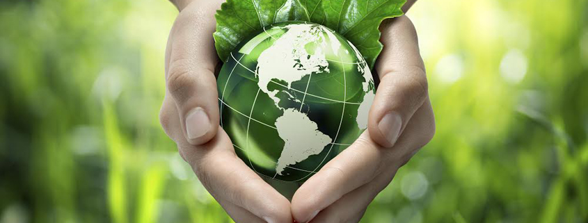 Concept image shows hands holding a piece of green fruit against a background of out-of-focus leaves, with a globe showing North and South America superimposed on the fruit