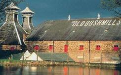Daytime exterior view of a Bushmills manufacturing facility