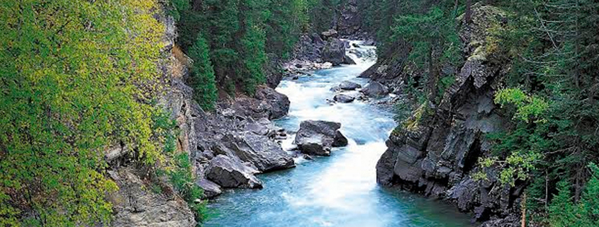 Daytime exterior view of a river in a canyon surrounded by evergreens