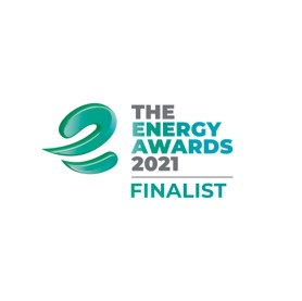 The Energy Awards 2021 Finalist logo